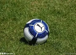 开云体育官,网投注,产品,开云体育,开云体育官网,开云体育app,开云体育平台,KAIYUN,SPORTS,kaiyun登录入口