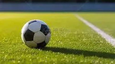 山东培育赛事消费新业态，赛事流量转化为经济新动力