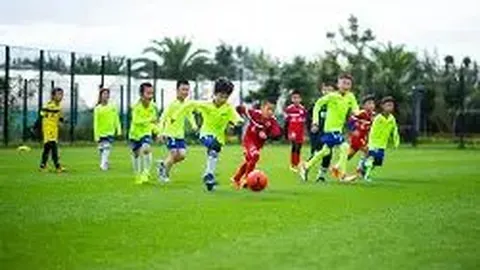 开云体育官网投注 资讯 113837 auj