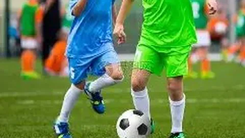 开云体育官网投注 资讯 095800 kjt