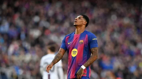 原神莉奈娅角色分析：治疗辅助与副C能力全解析