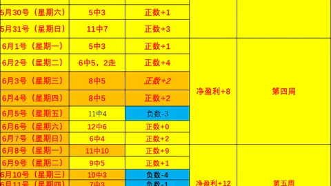开云体育官网投注 144425 26